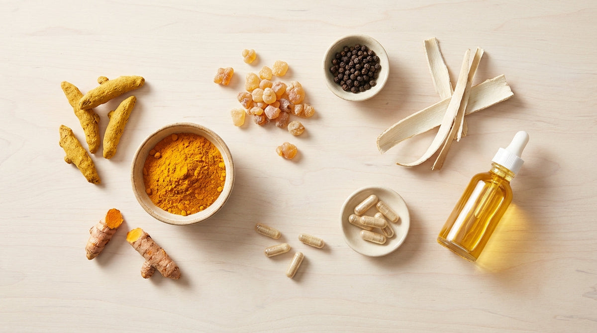 Joint Support Ingredients: How Every Compound Protects and Rebuilds Your Joints