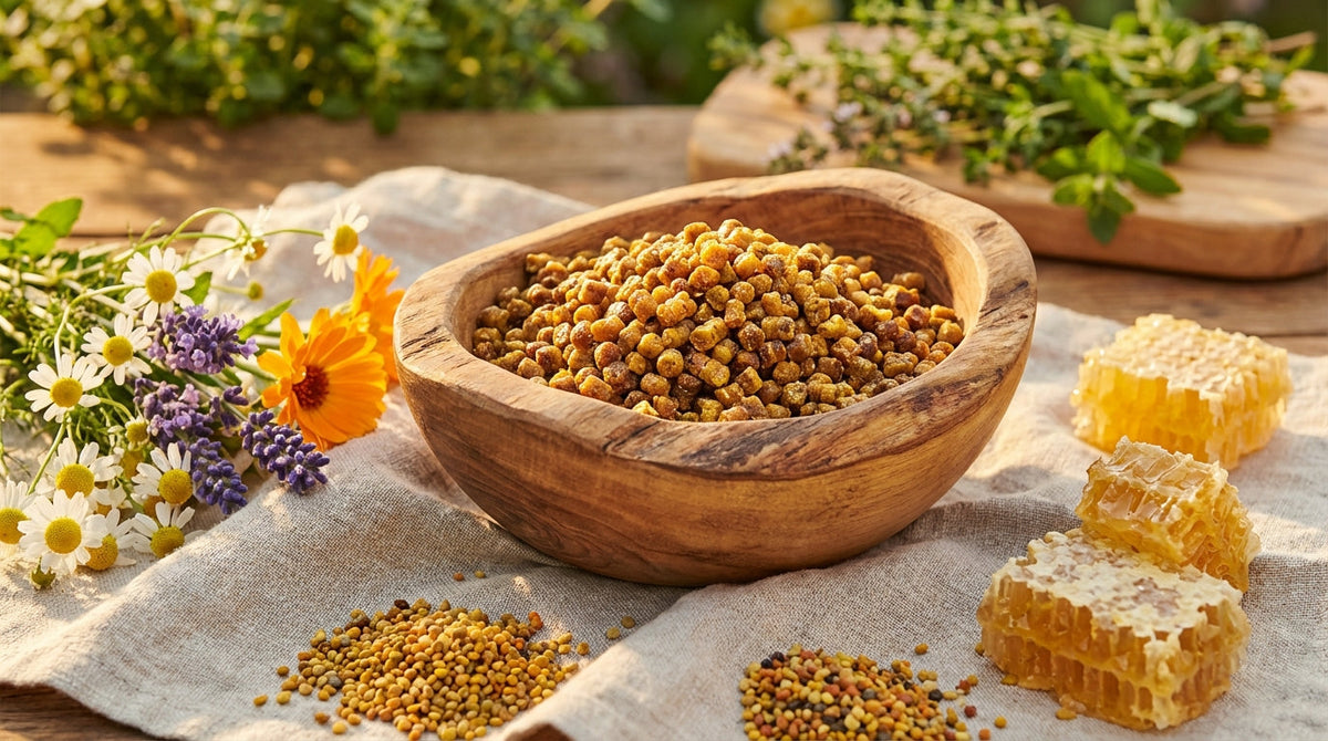 What Is Bee Bread? The Fermented Superfood Your Body Actually Absorbs