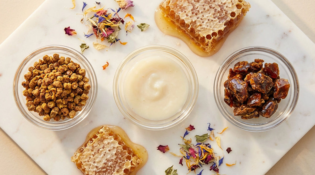 Bee Bread, Royal Jelly & Propolis: How Each Ingredient Works in Your Body